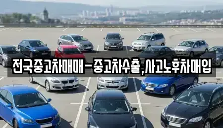 부산광역시 남구 용호동 중고차매입 전문 전국중고차매매-중고차수출,사고노후차매입