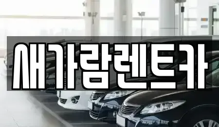 부산광역시 동구 좌천동 렌트카 전문 새가람렌트카