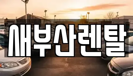 부산광역시 북구 만덕동 렌트카 전문 새부산렌탈