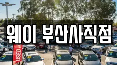 부산광역시 북구 만덕동 렌트카 전문 웨이 부산사직점