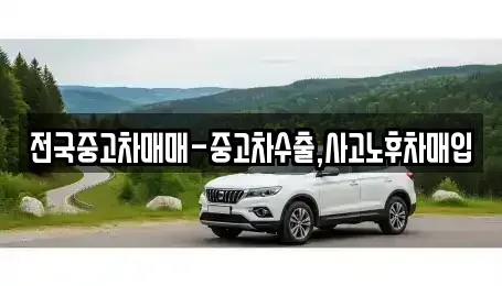 부산광역시 북구 만덕동 중고차 전문 전국중고차매매-중고차수출,사고노후차매입