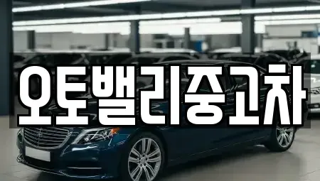 부산광역시 사상구 덕포동 중고차매매 전문 오토밸리중고차