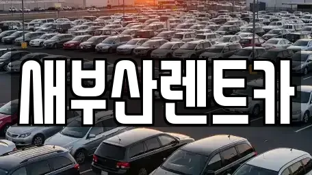 부산광역시 사하구 괴정동 렌트카 전문 새부산렌트카