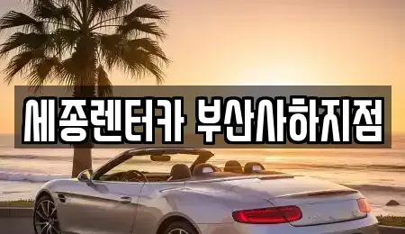 부산광역시 사하구 괴정동 렌트카 전문 세종렌터카 부산사하지점