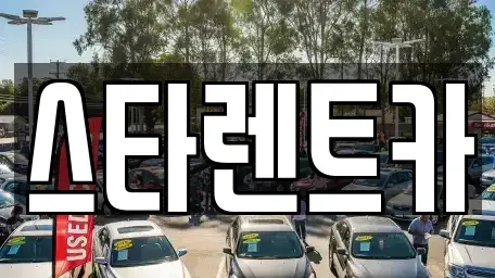 부산광역시 사하구 괴정동 렌트카 전문 스타렌트카