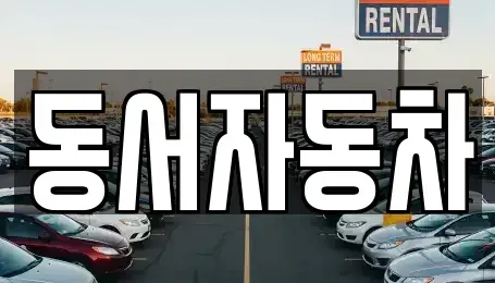 부산광역시 사하구 괴정동 중고차매매 전문 동서자동차