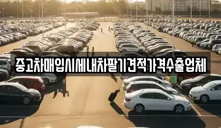 부산광역시 사하구 괴정동 단기렌트카,중고차매입,중고차매매,중고차,렌트카,장기렌트카