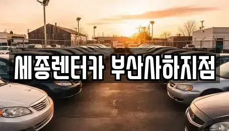 부산광역시 사하구 당리동 렌트카 전문 세종렌터카 부산사하지점