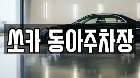 부산광역시 서구 충무동2가 렌트카 전문 쏘카 동아주차장