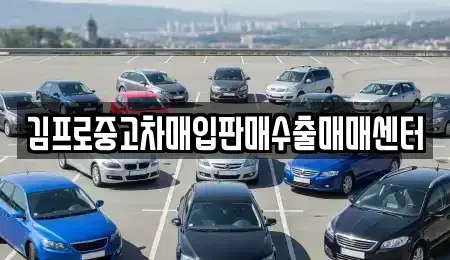 부산광역시 서구 충무동2가 중고차 전문 김프로중고차매입판매수출매매센터