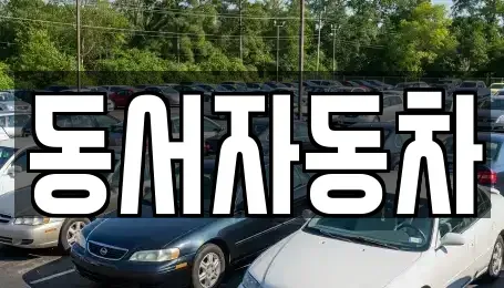 부산광역시 서구 충무동2가 중고차 전문 동서자동차