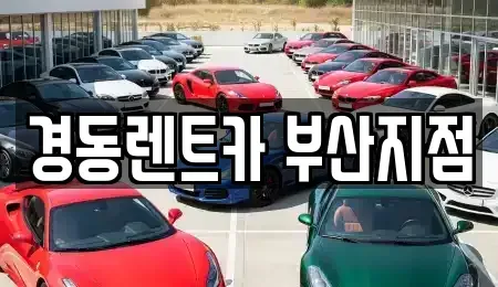 부산광역시 수영구 단기렌트카 전문 경동렌트카 부산지점