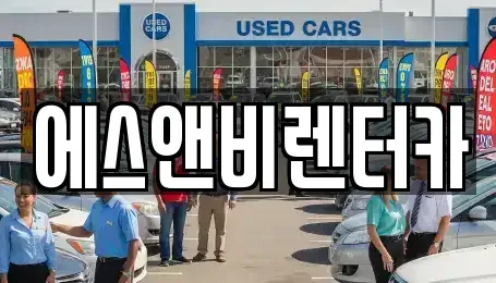 부산광역시 수영구 단기렌트카 전문 에스앤비렌터카