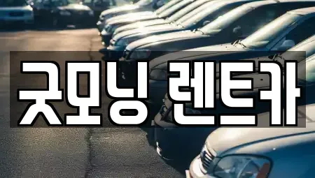 부산광역시 수영구 렌트카 전문 굿모닝 렌트카