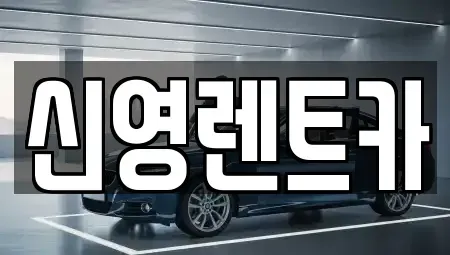 부산광역시 수영구 장기렌트카 전문 신영렌트카