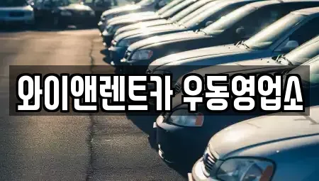 부산광역시 수영구 장기렌트카 전문 와이앤렌트카 우동영업소