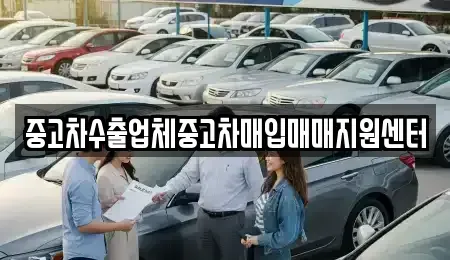 부산광역시 수영구 중고차매입 전문 중고차수출업체중고차매입매매지원센터