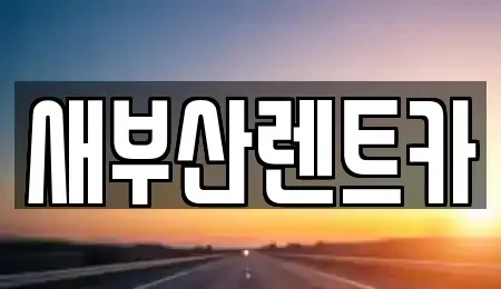부산광역시 영도구 신선동2가 렌트카 전문 새부산렌트카