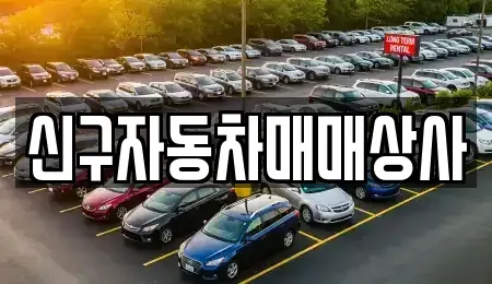 부산광역시 영도구 신선동2가 중고차 전문 신구자동차매매상사