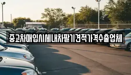 부산광역시 영도구 신선동2가 중고차 전문 중고차매입시세내차팔기견적가격수출업체