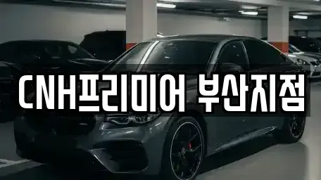 부산광역시 중구 광복동2가 렌트카 전문 CNH프리미어 부산지점