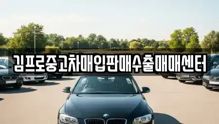 부산광역시 중구 대청동4가 중고차매입 전문 김프로중고차매입판매수출매매센터