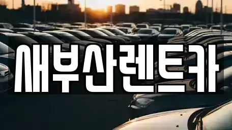 부산광역시 중구 부평동2가 렌트카 전문 새부산렌트카