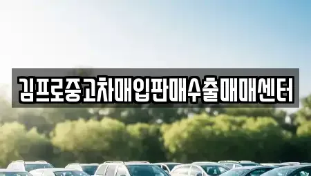 부산광역시 중구 부평동2가 중고차매입 전문 김프로중고차매입판매수출매매센터