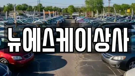 부산광역시 해운대구 석대동 중고차매매 전문 뉴에스케이상사