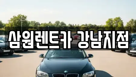 서울 강남구 대치동 장기렌트카 전문 삼원렌트카 강남지점