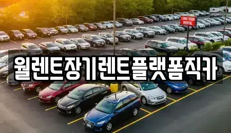 서울 강남구 대치동 장기렌트카 전문 월렌트장기렌트플랫폼직카
