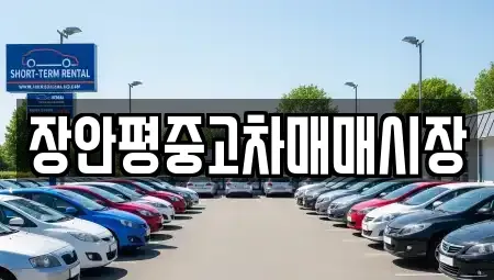 서울 강남구 대치동 중고차 전문 장안평중고차매매시장