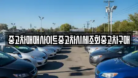 서울 강남구 대치동 중고차 전문 중고차매매사이트중고차시세조회중고차구매