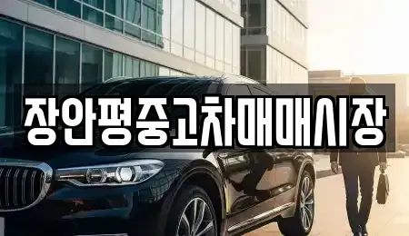서울 강남구 대치동 중고차매매 전문 장안평중고차매매시장