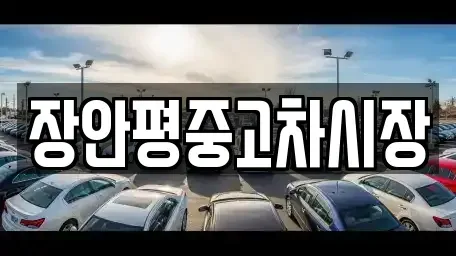 서울 강남구 대치동 중고차매매 전문 장안평중고차시장