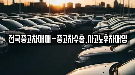 서울 강남구 대치동 중고차매입 전문 전국중고차매매-중고차수출,사고노후차매입