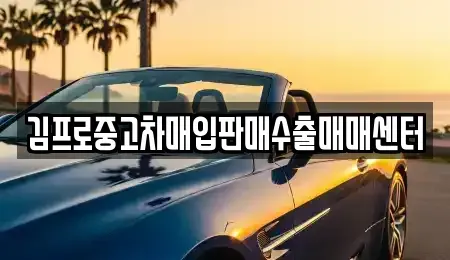 서울 광진구 중곡동 중고차매입 전문 김프로중고차매입판매수출매매센터