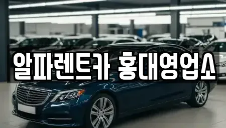 서울 마포구 서교동 렌트카 전문 알파렌트카 홍대영업소