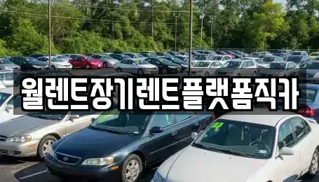 서울 마포구 서교동 장기렌트카 전문 월렌트장기렌트플랫폼직카