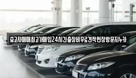 서울 마포구 서교동 중고차 전문 중고차매매최고가매입24시간출장비무료견적현장방문지누카
