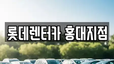 서울 마포구 연남동 단기렌트카 전문 롯데렌터카 홍대지점