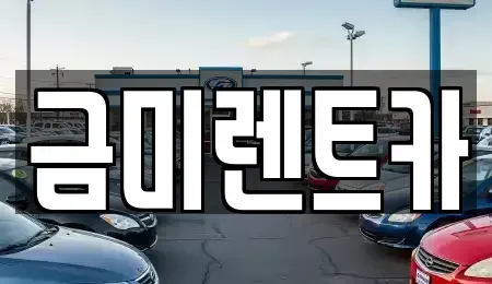 서울 마포구 연남동 렌트카 전문 금미렌트카