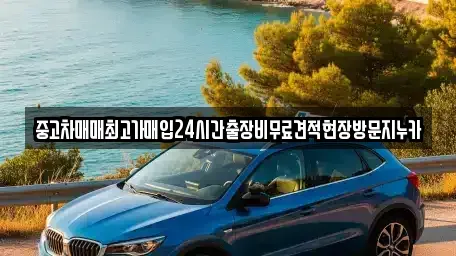 서울 서대문구 봉원동 중고차매입 전문 중고차매매최고가매입24시간출장비무료견적현장방문지누카