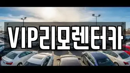 서울 성동구 금호동4가 단기렌트카 전문 VIP리모렌터카