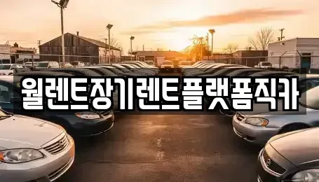 서울 성동구 금호동4가 장기렌트카 전문 월렌트장기렌트플랫폼직카