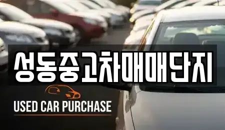 서울 성동구 금호동4가 중고차 전문 성동중고차매매단지