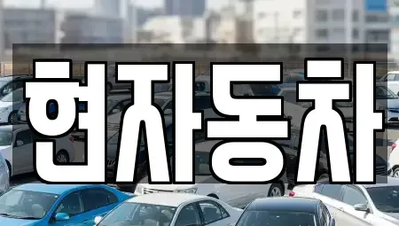 서울 성동구 금호동4가 중고차 전문 현자동차