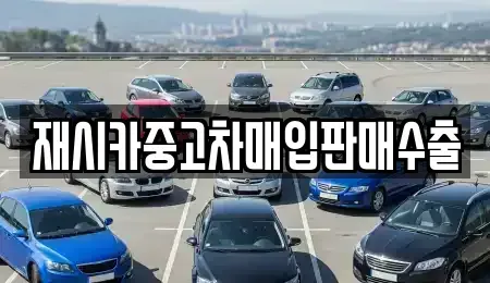 서울 성동구 금호동4가 중고차매입 전문 재시카중고차매입판매수출