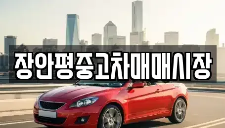 서울 송파구 거여동 중고차 전문 장안평중고차매매시장