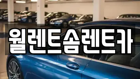 서울 송파구 신천동 렌트카 전문 월렌트솜렌트카